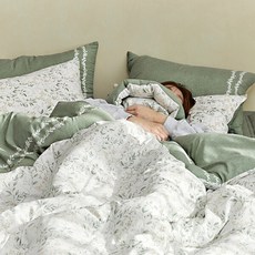 알레르망인견q TOP01