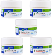 Earth's Care Tea Tree Oil Balm 얼쓰 케어 티트리 오일 밤 0.12oz(3.4g) 5팩, 5개