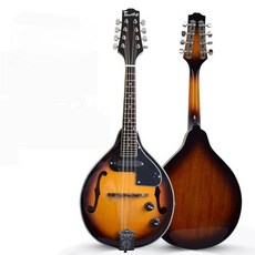 만돌라 우드 초보자 전기 만돌린 악기 아마추어오케스트라 현, 사펠레 모델 EM500