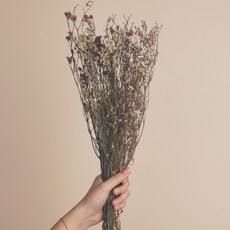 0336998d699df7bf12e01533bc230e7bad41e07118d35d0cbf6d747bb154.jpg