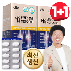 MSM 관절 식이 유황 영양제 엠에스엠 2000, 2개, 30회분 - msm320-r