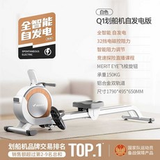 마그네틱로잉머신 전신 실내 접이식 기구 가정용 핏분