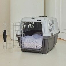 천안원데이클래스애견동반