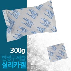 반영구 제습제 실리카겔 300g