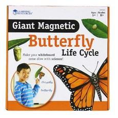 곤충성장피규어