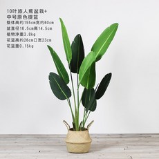 //상품명