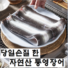 통영 장어 1kg 2kg 3kg (발송 당일 손질), [ 1kg ] 손질장어