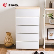 5단장레일