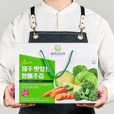 제주네이쳐 맛있는 유기농 양배추즙 100ml x 30개입 x 3박스