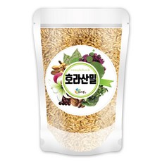 MDT4644 슈퍼곡물 2020년산 햇 호라산밀 1kg 최근 직수입 호라산밀/잡곡/카무트/커무트밀