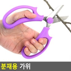 원데이클래스꽃꽂이