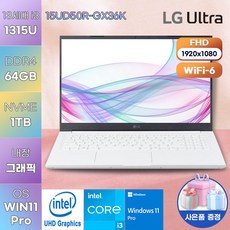 LG 노트북 WIN11 울트라PC 15UD50R-GX36K 고성능 가성비 노트북, WIN11 Pro, 64GB, 1TB, 코어i3, 화이트