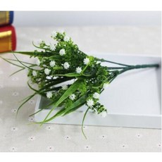 babybreath