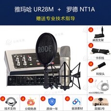 Steinberg YAMAHA UR28M 사운드카드 녹음 편곡 포스트 믹스테이프 듀얼마이크