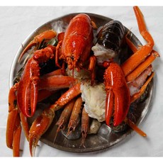 보일링크랩소스