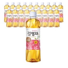 웅진 광명찾은 결명자차, 500ml, 20개