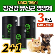  강아지 반려견 고양이 프로바이오틱스 유산균 가루 분말 파우더 프리바이오틱스 차전자피 소화 효소 흑효모 배양액 분말 동결건조 단호박, 3박스 