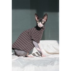 반려동물옷만들기책