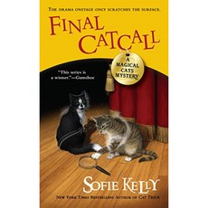 최종 Catcall, 단일옵션