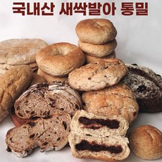 통밀핫도그