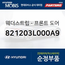 프론트 도어 바디 사이드 웨더스트립(뱀띠고무) 우측 (821203L000A9) 현대모비스 부품몰 그랜저TG