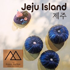 [그린하버]제주 최고급 미니 밤호박 보우짱 품종 3kg 5kg 10kg 15kg 단호박