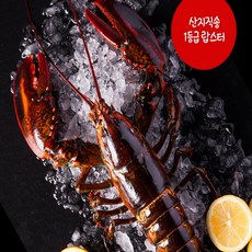 레드킹크랩1kg