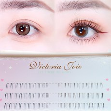 빅토리아속눈썹