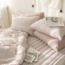 캐논ae-1소프트버튼