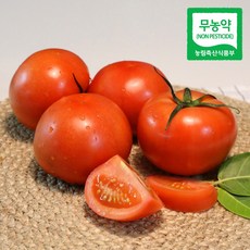 (산지직송) 친환경 봄춘 무농약 완숙 토마토, 5kg(가정용,쥬스용,못난이), 1개