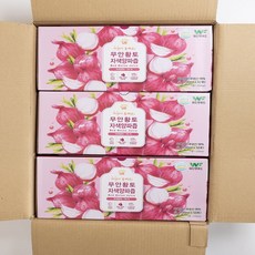 위더스 무안 황토 자색 양파즙 150포 (100ml*50포 1박스 / 총 3박스), 0.1L, 150개