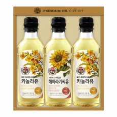 용카프리미엄해바라기씨유500mlx2개입