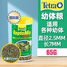 렙토민에너지, 1개, 65g