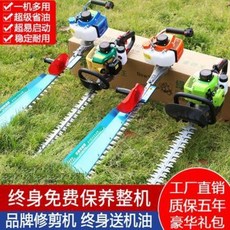 a170736a4c63a4ff15ec2bc6348237a1b3970192eeca3da2d74ce9b5d0bd.jpeg