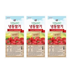추천3 리치스냉동딸기
