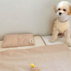 [개달당]오가닉 무지개침구2종세트_ 강아지블랭킷 강아지베개 고양이이불 고양이베개 강아지이불세트, 민트, 1개