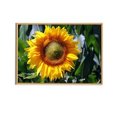 돈들어오는액자