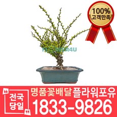 ff6faa76a2ff6ce4d9f980f99b3bd0983feba66d668e56835e3c019bd79c.jpeg