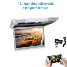 카니발천장티비