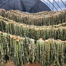 2025년 햇시래기 자연건조 무청 시래기 영주 국산 100g, 시래기(자연건조) 100g, 1개