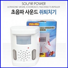 고양이초음파