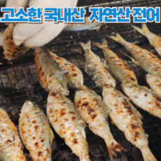 가을제철 국내 자연산 전어 생물 구이용, 1개, 2kg