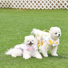 강아지수박구명조끼