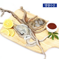 //상품명