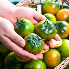 프리미엄 대저 짭짤이 토마토 2.5kg 당도보장, 로얄과 S~2S사이즈(소과), 1개