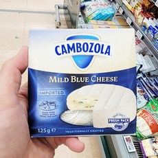 샴피뇽 깜보졸라 마일드 블루 치즈 125g x 1개, 아이스보냉백포장