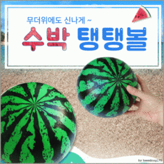비치볼수박