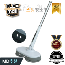 플렉스몰 스팀 청소기 분리형 핸드 고압 물걸레 스팀기 핸디 세척기 분사 살균기 올인원, 일체형