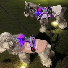 [홀리펫] Holipet 하네스 강아지 가슴줄 LED 소형견 중형견 대형견 반려견 산책줄 야간산책 관절보호, 화이트+블랙