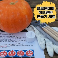 할로윈호박 만들기 세트 잭오랜턴키트 잭오렌턴 젝오렌턴 호박카빙셋트 빨간호박, 1개